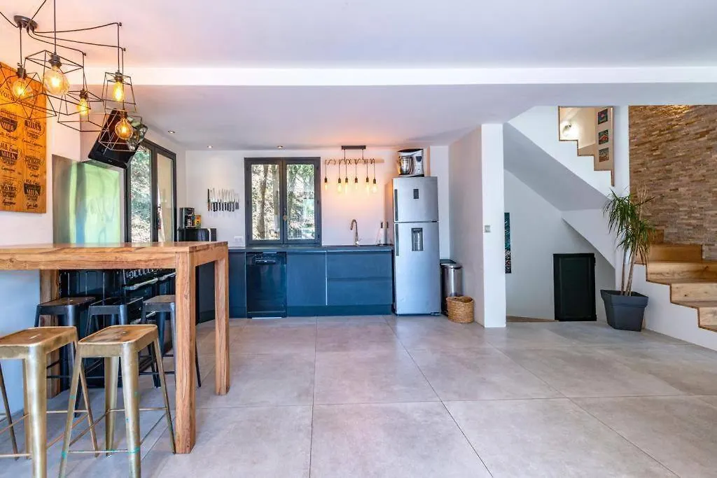 Magnifique Villa Moderne Avec Piscine A Mougins